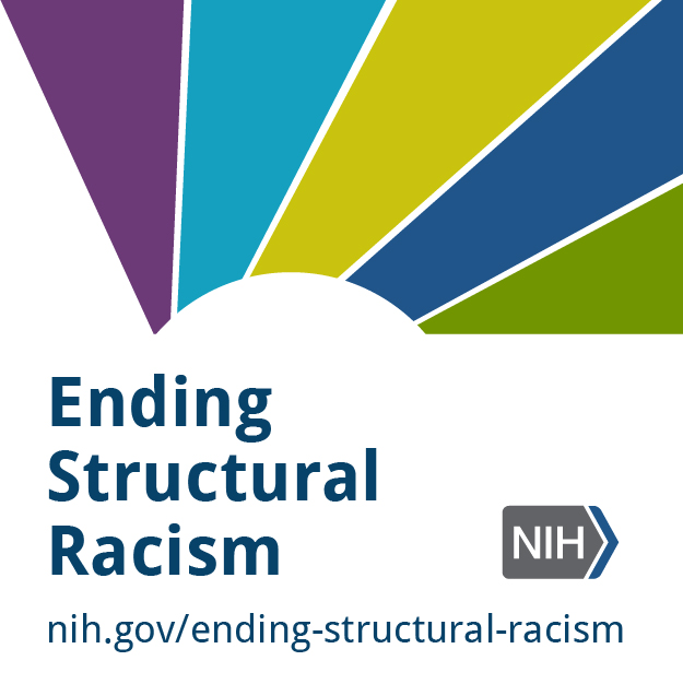 Unite web badge - ending structural racism